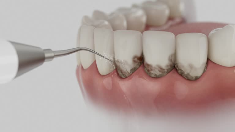 Reliable Dental contractor in Marrero, LA by Dentist Open Now